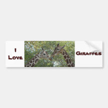 Giraffe ALove Bumper Sticker