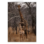 Giraffe and Baby Giraffe Cards