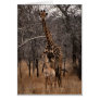 Giraffe and Baby Giraffe Cards
