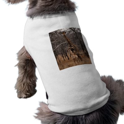 Giraffe and Baby Giraffe Pet Tee by alternateworlds