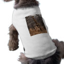 Giraffe and Baby Giraffe pet clothing
