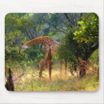 Giraffe and Baby Mousepad