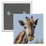 Giraffe and oxpecker Button