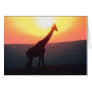 Giraffe at Sunset Greeting Cards
