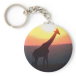 Giraffe at Sunset Key Chains