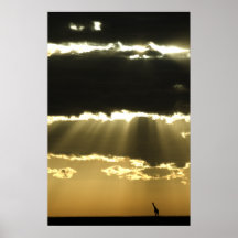 Giraffe at Sunset Posterdrucke