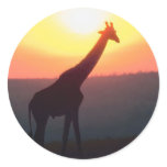 Giraffe at Sunset Sticker