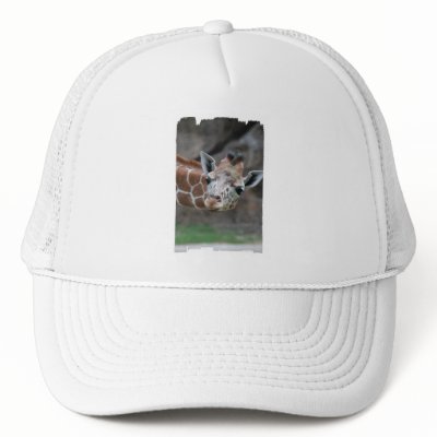 Giraffe  Baseball Hat by WildlifeAnimals