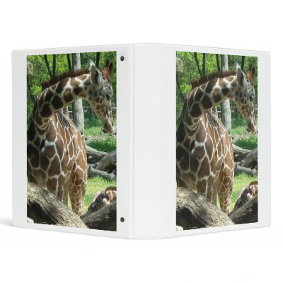 Giraffe Beauty Vinyl Binder by Incatneato