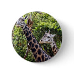 Giraffe Buddies Pin