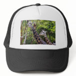 Giraffe Buddies Mesh Hats