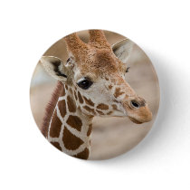 giraffe pinback button