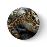 giraffe pins