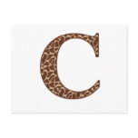 Giraffe C