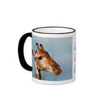 Giraffe calendar coffee mugs & cups