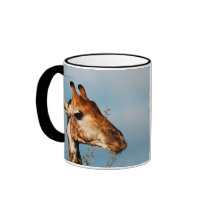 Giraffe calendars coffee mugs & cups