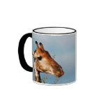 Giraffe calendars coffee mugs & cups