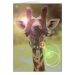 giraffe cards