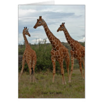 Giraffe Card 4