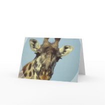Giraffe Design  Greeting Card