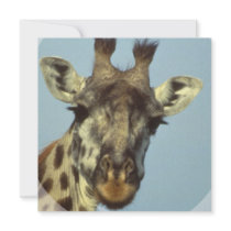 Giraffe Design Invitations
