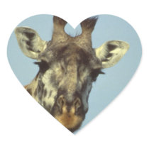 Giraffe Design  Stickers