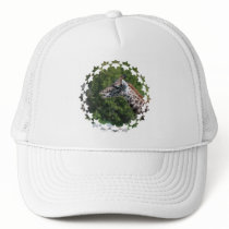Giraffe Eating Baseball Hat
