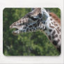 Giraffe Eating Mouse Pad