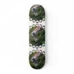 Giraffe Eating Skateboard
