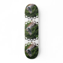 Giraffe Eating Skateboard
