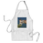 Giraffe eating some leaves aprons