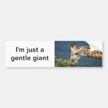 Giraffe eating some leaves bumper sticker