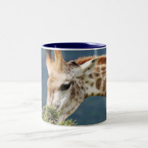 Giraffe eating some leaves coffee mug