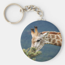 Giraffe eating some leaves key chains