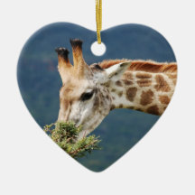 Giraffe eating some leaves ornament