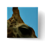 giraffe eye buttons