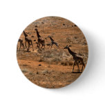Giraffe Family Pinback Buttons