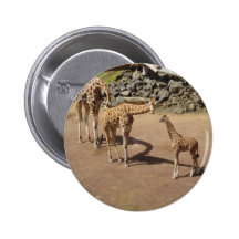 Giraffe Family Buttons