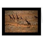 Giraffe Family Cards