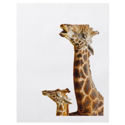 Giraffe Family Gift Custom Flyer by kphotos