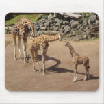 Giraffe Family Mousepad