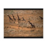 Giraffe Family Post Cards