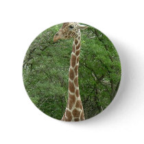 Giraffe Gentleness Pin
