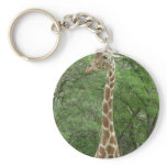 Giraffe Gentleness Key Chains