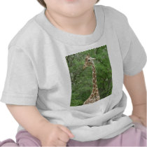 Giraffe Gentleness Tee Shirts