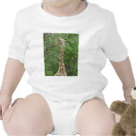 Giraffe Gentleness Tshirts