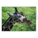 Giraffe Good Hair Day cards