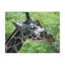 Giraffe Good Hair Day