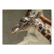 Giraffe Greeting Card