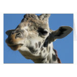 Giraffe greeting card